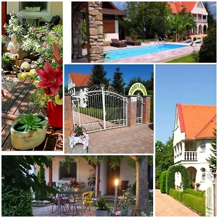 Andrea Guest house *