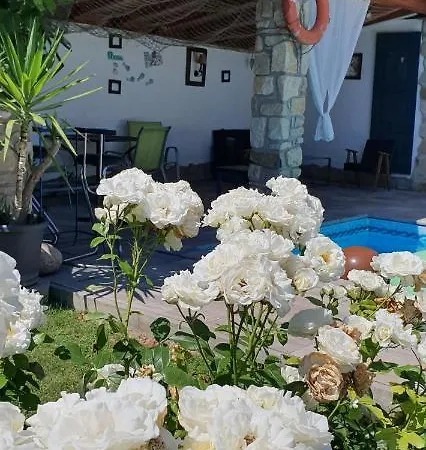 Affittacamere Andrea 3*