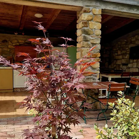 Affittacamere Andrea