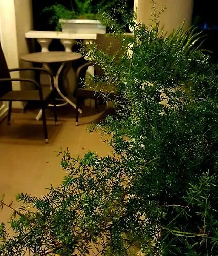 בית הארחה Andrea