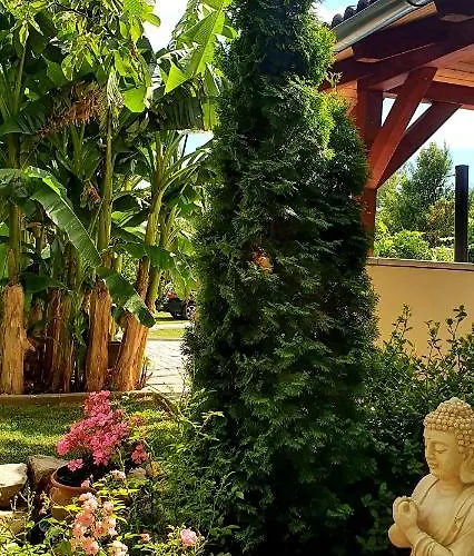 Andrea בית הארחה 3*