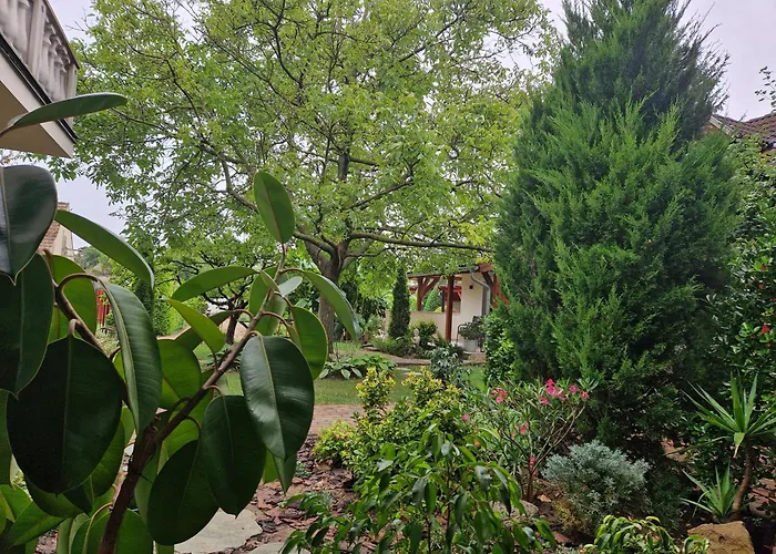 Andrea Casa de hóspedes 3*